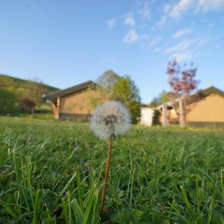 Safaritent Op Camping Berkel Bockholtz المظهر الخارجي الصورة