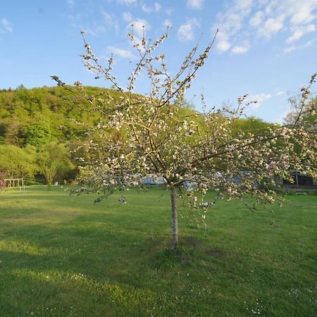 Safaritent Op Camping Berkel Bockholtz المظهر الخارجي الصورة